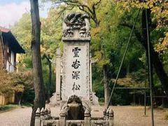 -灵谷景区