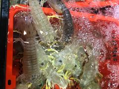 -79号渔船海鲜饭店(华强北店)