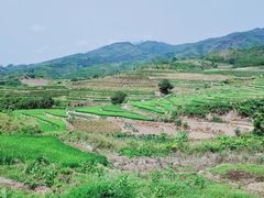 -牙胡梯田