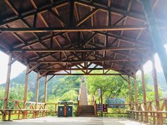 -大岭沟猕猴桃谷风景区