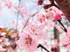 -滴水湖