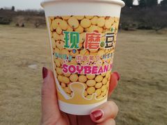 -秀丽东方