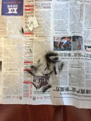 点击看大图 -龙文宝贝上门婴儿理发满月剃胎毛(总店)