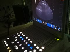 -芭比堂宠物医院·全科爱猫医院·仁德分院