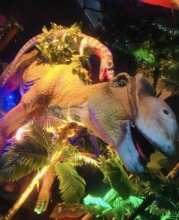 -恐龙探索乐园(磁器口店)