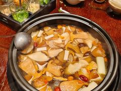 -滇野云南野生菌餐厅(陕西南路店)