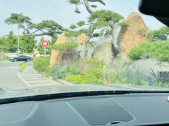 -罗红摄影艺术馆