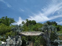-王顺山国家森林公园