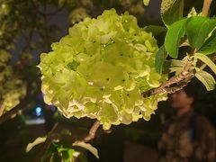 -盘门景区