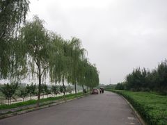 -洨河生态公园