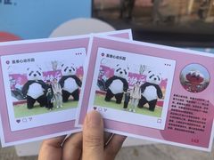 -盈香心动乐园