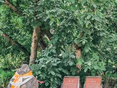 -鲁土司衙门旧址