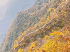 -大岭沟猕猴桃谷风景区