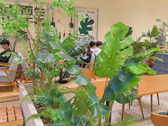 -森茶(湛江万达店)