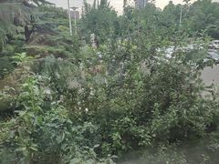 -济南南郊宾馆