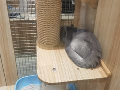 -永旺梦乐城(金银潭店)