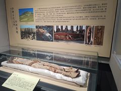 -巴音郭楞蒙古自治州博物馆