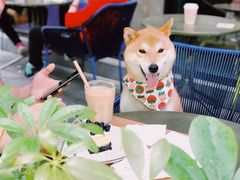 -Wagas沃歌斯(大学路店)