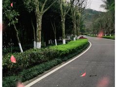 -重庆园博园
