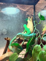 -Zoolung Zoolung动物主题公园(海信广场店)