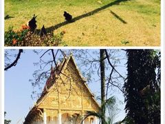 -塔銮寺