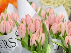 -双季花艺园艺市场(浦东店)