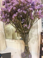 -T·C BEAUTY皮肤管理美容美体工作室