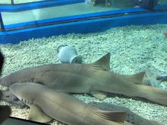 -福州罗源湾海洋世界旅游区