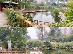 -桂湖森林公园