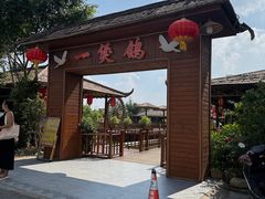 -一煲鸽