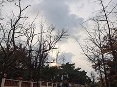 -八大关景区
