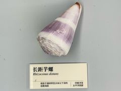 -天津古林古海岸遗迹博物馆