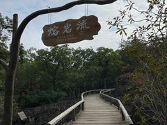 -海口火山口国家地质公园