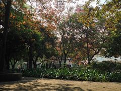 -南宁南湖公园