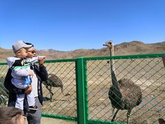 -新疆天山野生动物园