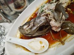 -大东海海鲜酒楼(渔人码头总店)