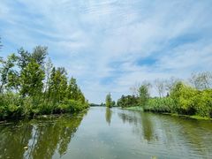 -溱湖国家湿地公园