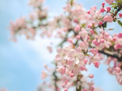 -芙蓉街-王府池子