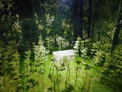 -中国杭州低碳科技馆