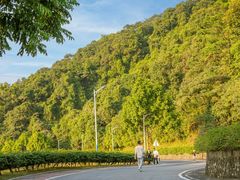 -火炉山森林公园