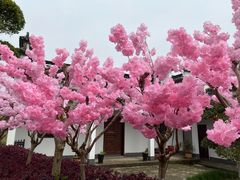 -武汉紫薇都市田园