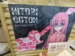 -Sony Store 索尼(上海淮海中路店)