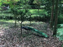 -宁波野生动物园