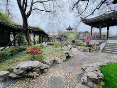 -芥子园