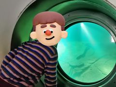 -白鹤梁水下博物馆