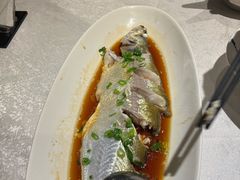 -金美华轩(东方路齐鲁店)