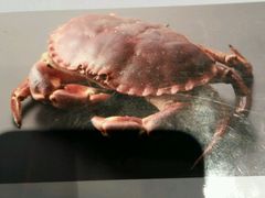 android_upload_pic-李老爹香辣蟹(宣武门店)