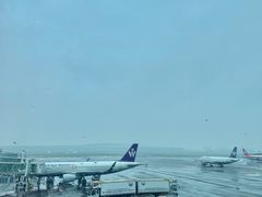 -重庆江北国际机场-T2航站楼
