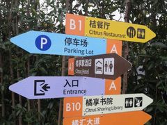 -前小桔亲子创意农场·草莓采摘·露营烧烤