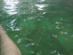 -湖泉半山温泉(湖泉生态园)